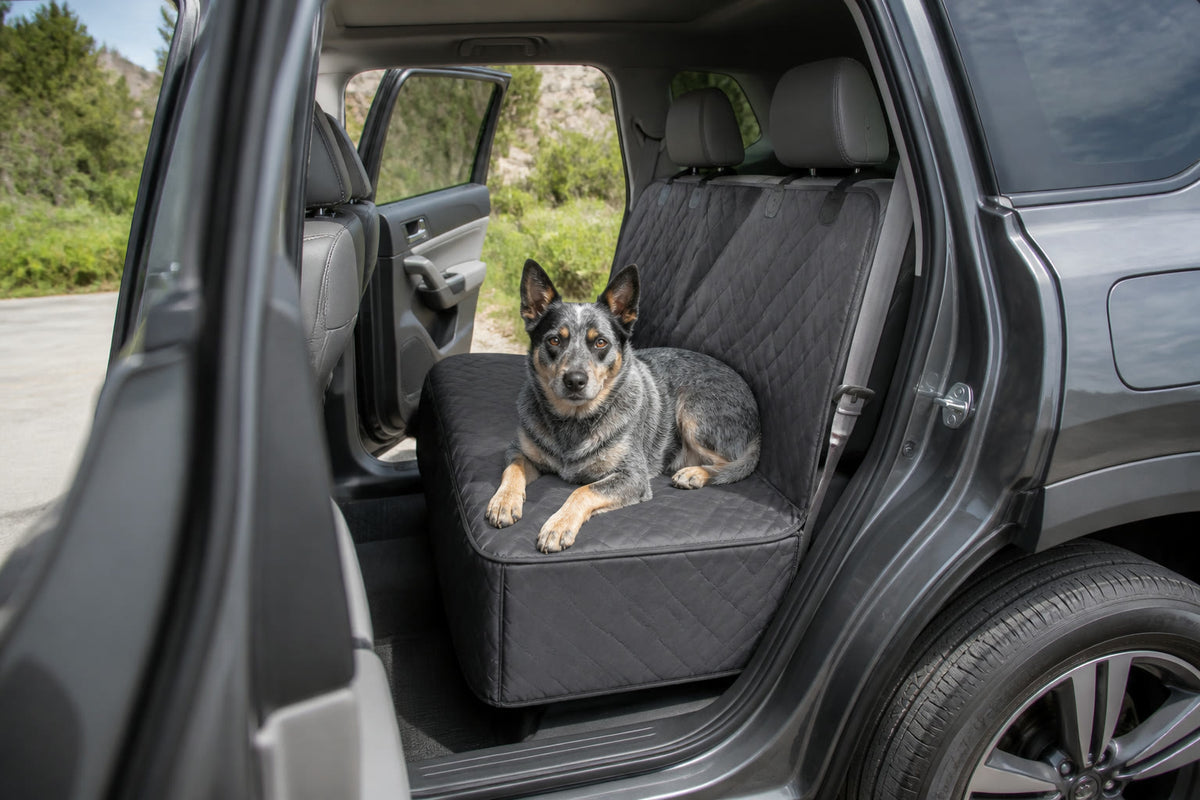 Dog resting on a quilted rear-seat protector in a parked car
