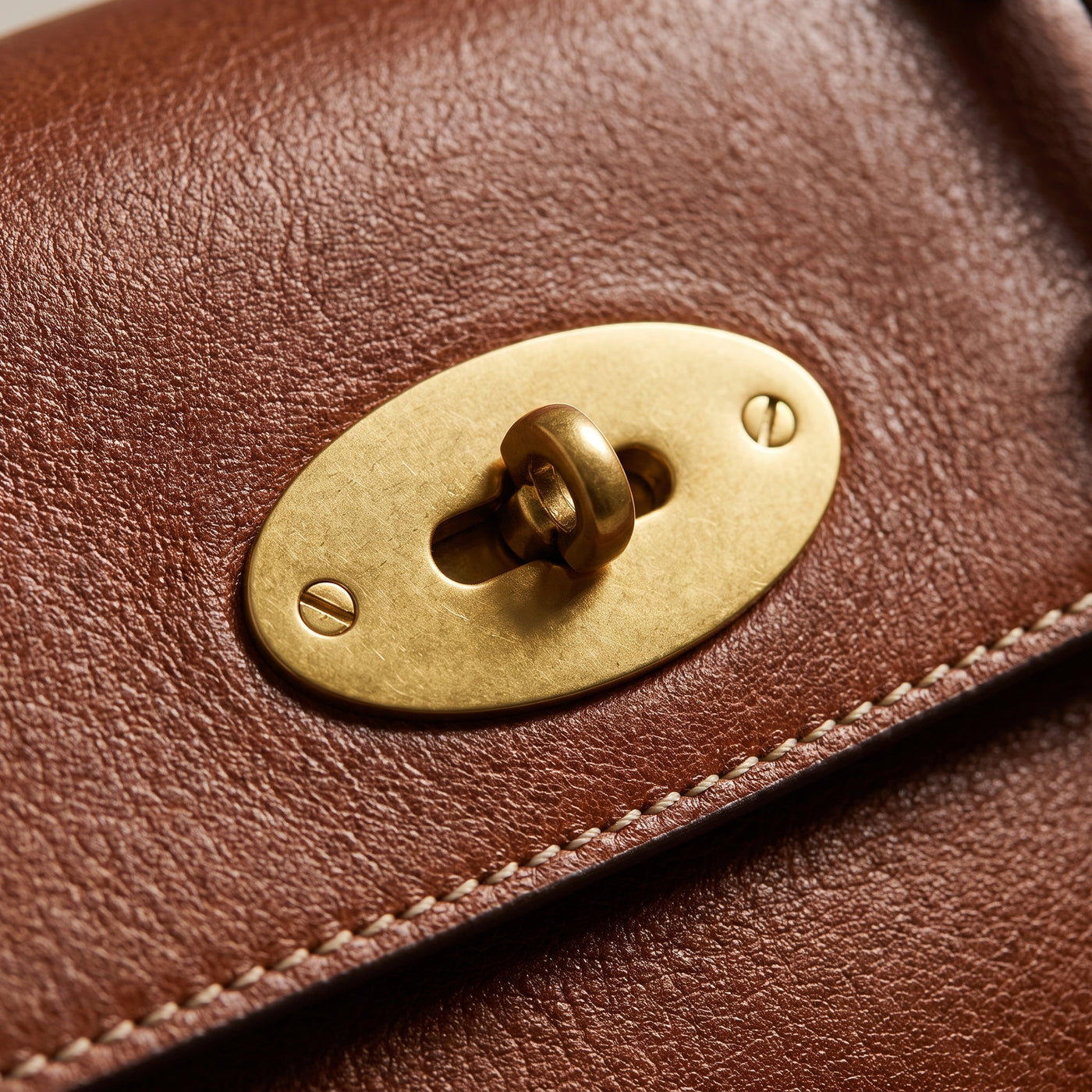 Mara Lock Tote Bag