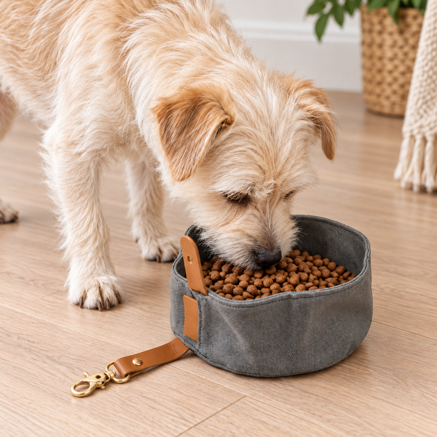 Collapsible Travel Dog Bowl for Food & Water