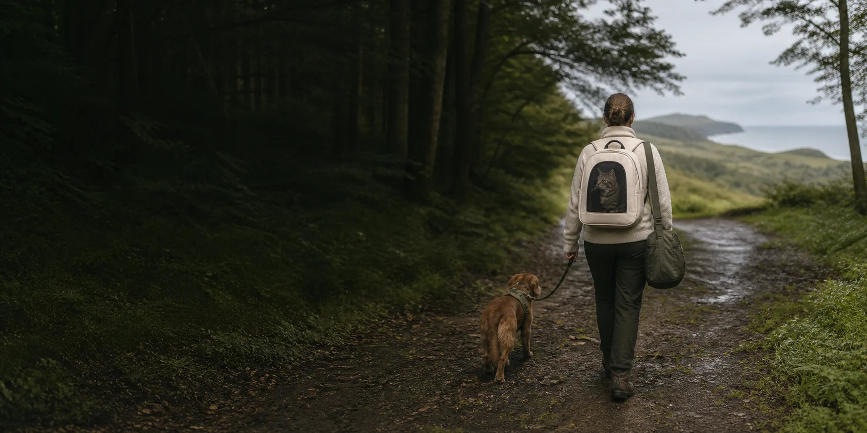 Traveler walking a dog while carrying a cat securely on a woodland path
